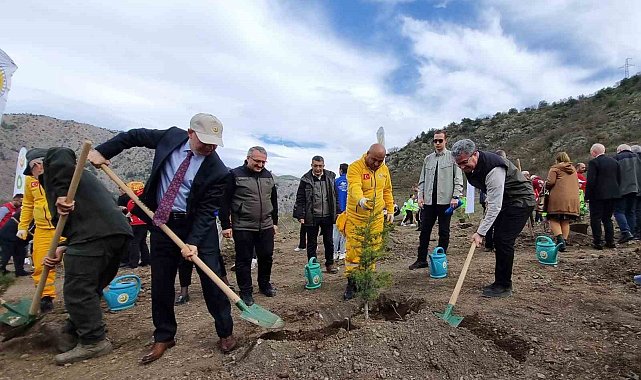 Amasya Orman Bölge Müdürü Özer: "Türkiye en çok ağaçlandırmada Avrupa'da 1. sırada"