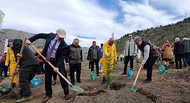 Amasya Orman Bölge Müdürü Özer: "Türkiye en çok ağaçlandırmada Avrupa'da 1. sırada"