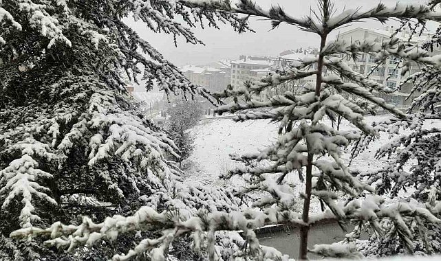 Ankara'da kar yağışı başladı
