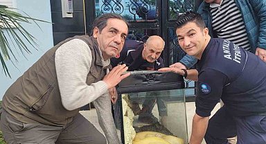 Antalya'da ikinci piton vakası, bu kez apartmanın içerisinden çıktı
