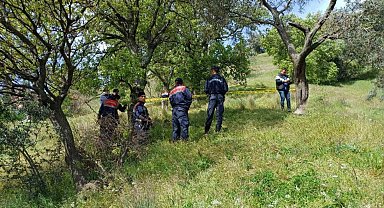 Aydın'da bir kişi ağaçta asılı halde bulundu
