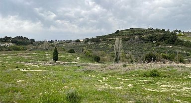 Aydın'da işlenmeyen tarım arazileri üretime kazandırılacak