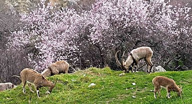 Aynı il iki farklı mevsim