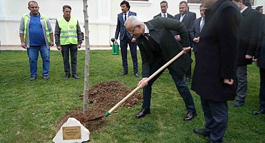 Bakan Uraloğlu Bilecik'te çınar fidanı dikti