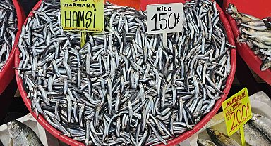 Bandırma'da hamsinin fiyatı düştü