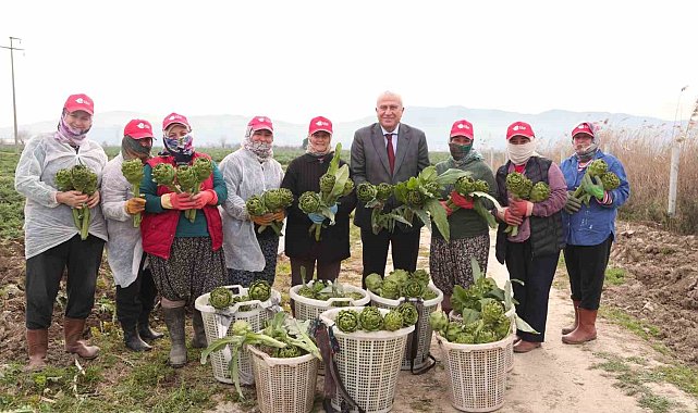 Başkan Atay'dan enginar, kuşkonmaz ve şevketi bostan hasadı
