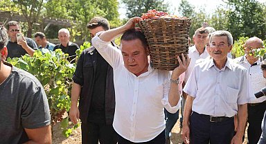 Başkan Böcek'ten tarımda istihdamı arttıracak projeler