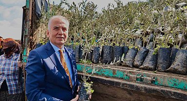 Başkan Zolan: "Zeytinlerimiz 600 yıl boyunca ürün verecek"