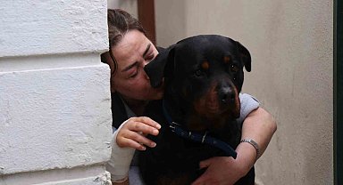 Beslediği köpeğin aynı cinsi tarafından sokakta saldırıya uğradı, dehşet anlarını böyle anlattı