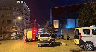 Bilecik'te çocuklar palmiye ağacını yaktı