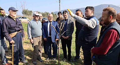 Bilecikli çiftçilere ağaç budama eğitimi verildi