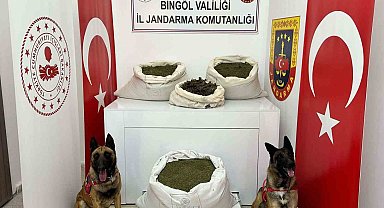 Bingöl 57 kilo uyuşturucu ele geçirildi