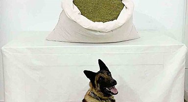 Bingöl'de 18,5 kilo toz esrar ele geçirildi