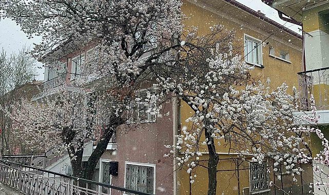 Bolvadin'de kar yağışı etkili oldu