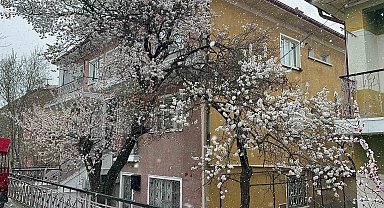 Bolvadin'de kar yağışı etkili oldu