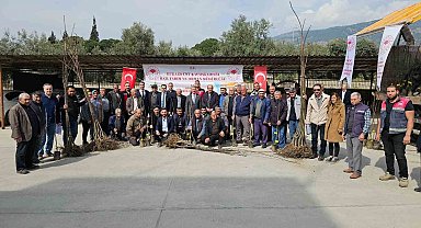 Buharkentli üreticiye kestane ve incir fidanı desteği