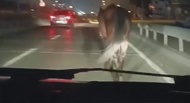 Bursa'da başıboş atlar tehlike saçtı