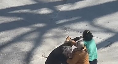 Bursa'da kadınlar saç saça birbirlerine girdi