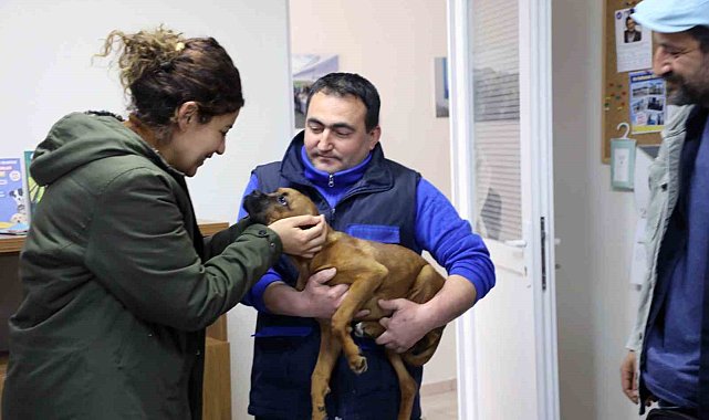 Büyükşehir 3 bin 174 Can dostu sahiplendirdi