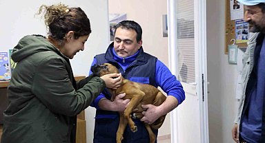 Büyükşehir 3 bin 174 Can dostu sahiplendirdi