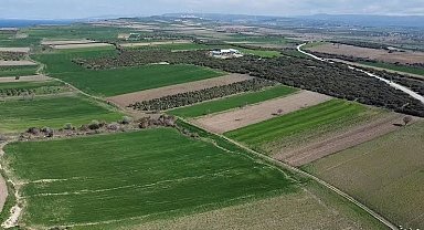 Çanakkale Savaşları'ndan kalma yeni bir şehitlik alanı tespit edildi
