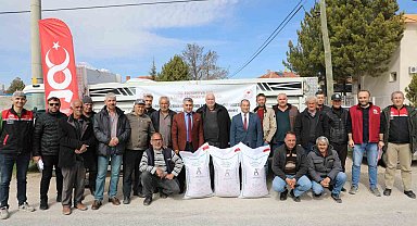 Çiftçilere kuraklığa dayanıklı, yerli Azkan nohut tohumu desteği