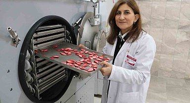 Coğrafi işaretli "çiçek bamyası" artık erken kurutulacak