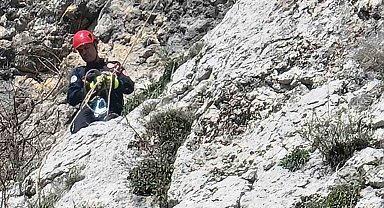 Dağda mahsur kalan keçi itfaiye ve AKOM ekipleri tarafından kurtarıldı