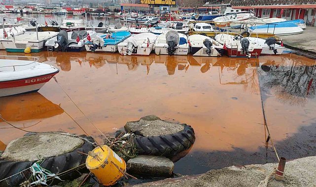Denizde turuncu renk ve denizanası istilası yayılıyor: 1 haftada 2 kat arttı