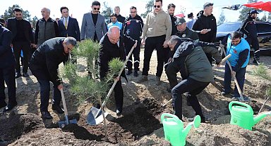 Denizli'de 14 lokasyonda 6 bin 100 adet fidan toprakla buluştu