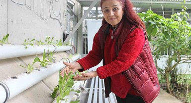 Depremzede kadının PVC boru içinde yetiştirdiği ürünler gelir kapısı oldu