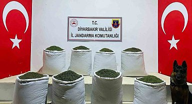 Diyarbakır'da 169 kilo esrar ele geçirildi