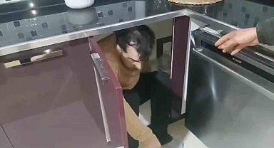 Diyarbakır'da gasp çetesine 'Piyon' operasyonu: 9 kişi tutuklandı