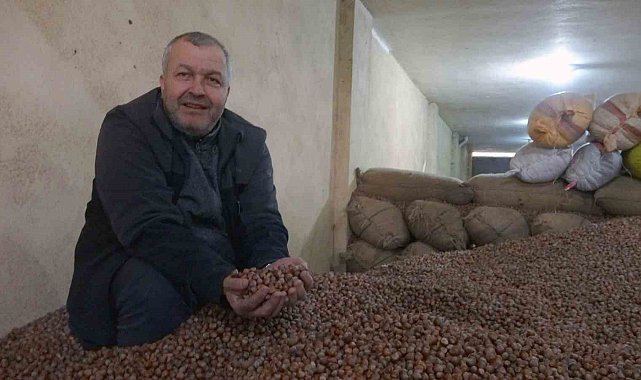 Döviz kurundaki ve sıcaklık değerlerindeki yükseliş fındık fiyatlarını da tırmandırıyor