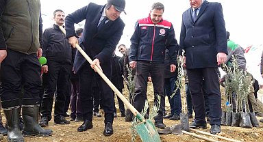 Dünya Ormancılık Günü'nde huzurevi bahçesine 2 bin fidan dikildi