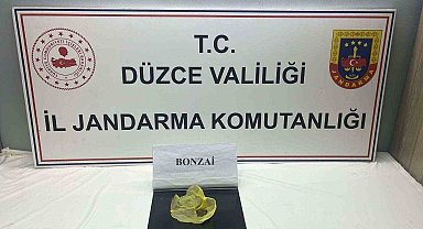 Düzce'de jandarma suçlulara göz açtırmıyor