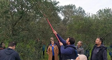 Edremit'te zeytin budama kursu yapıldı