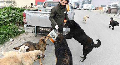 Esenyurt Belediyesi sokak hayvanlarına mama ve su desteğini sürdürüyor