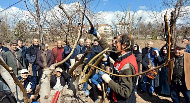 Eskişehir çiftçisine meyve ağaçlarında budama ve aşılama eğitimi verildi