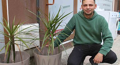 Esnafın çağrısını duyan hırsız, çaldığı süs bitkisini geri getirdi