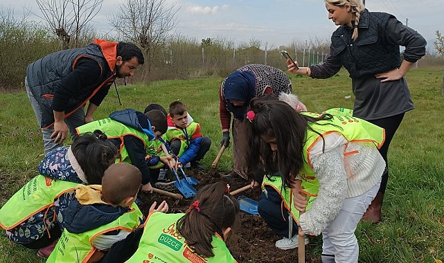 Fidanın ağaca nasıl döndüğünü öğrendiler