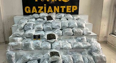 Gaziantep'te uyuşturucu operasyonu: 194 tutuklama