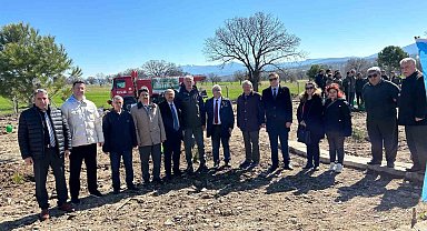 Gediz'de 150 karaçam toprakla buluştu