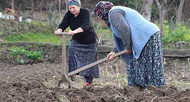 Gençler tarlaya girmiyor