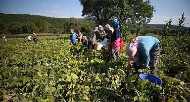 GMKA destek verdi, kadın üretimi ve istihdam güçlendi