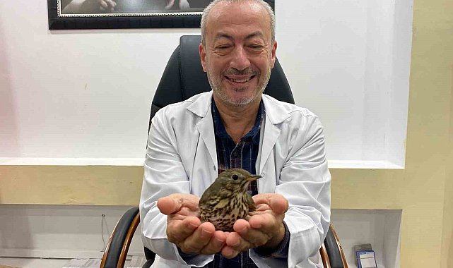 Göç yolunda yorgun düşen öter ardıç kuşu, soluğu hastanede aldı