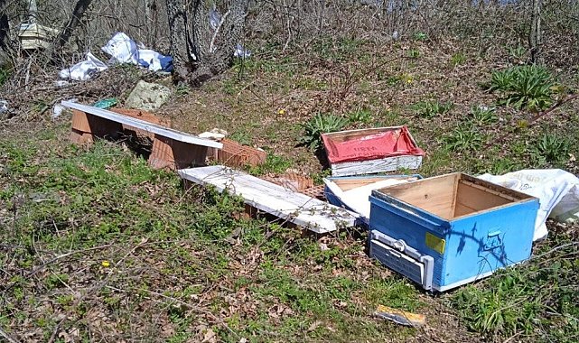 Gönen'de arı kovanları ayılar tarafından parçalandı
