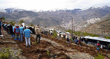 Gümüşhane'de 3 bin fidan toprakla buluştu