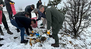 Gümüşhane'de ormanı kirletenler fotokapanla tespit edilip adli ve idari para cezası uygulanacak