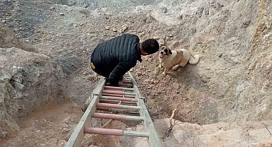 Hassa'da kuyuya düşen köpek kurtarıldı